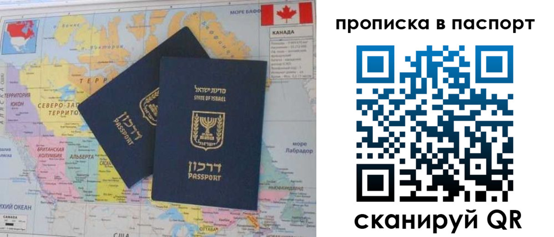 временная регистрация гарантия в Фрязино